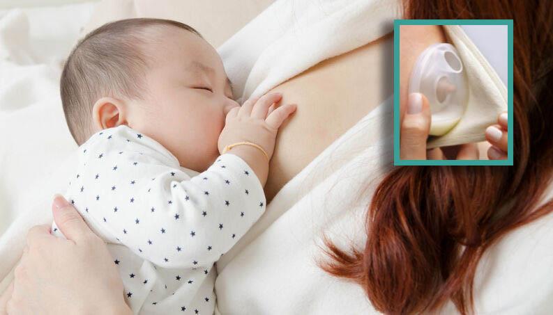 Conchas de amamentação: amigas ou vilãs da lactação?