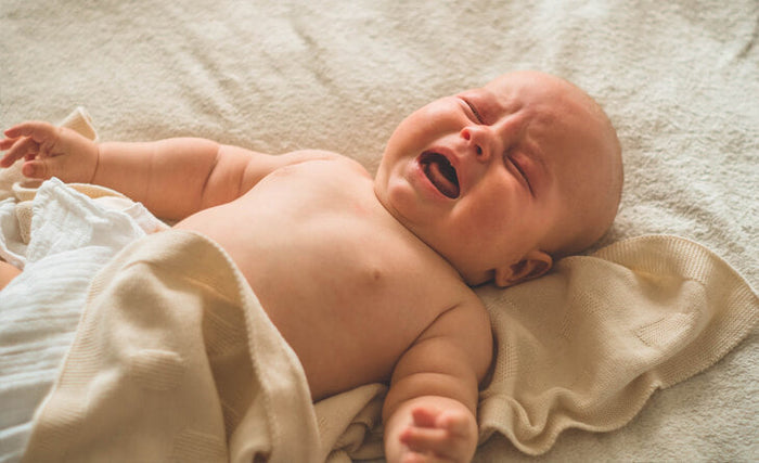 Compreendendo os Terror Noturno em Bebês: Orientações para Pais Preocupados