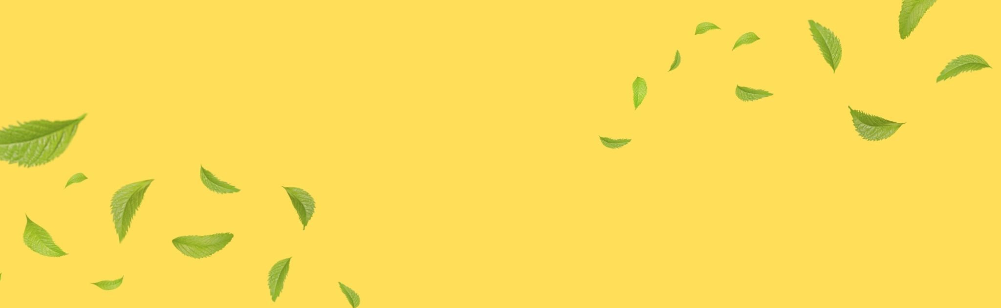 BANNER_50.jpg