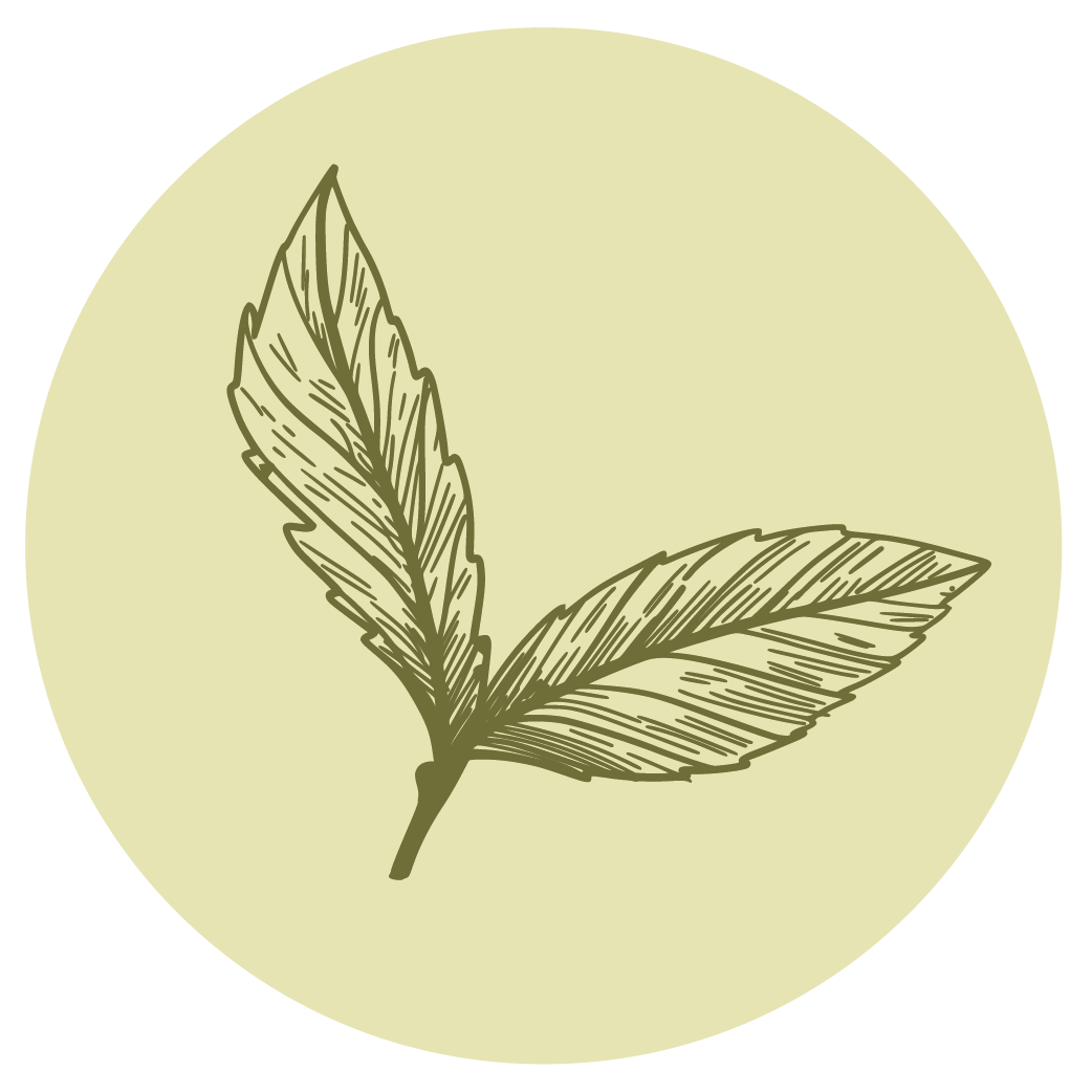 Estévia