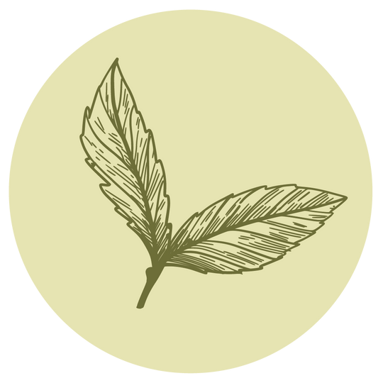 Estévia